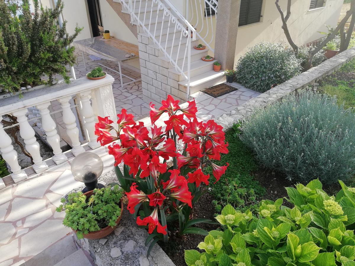 Apartment Cactus Donji Okrug  Exterior foto